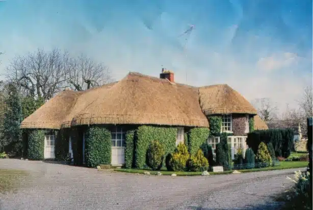 A quaint cottage with a thatched roof is covered in lush green ivy. It sits at the end of a gravel driveway, surrounded by small shrubs and trees under a clear blue sky.